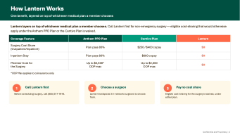 centivo lantern costs